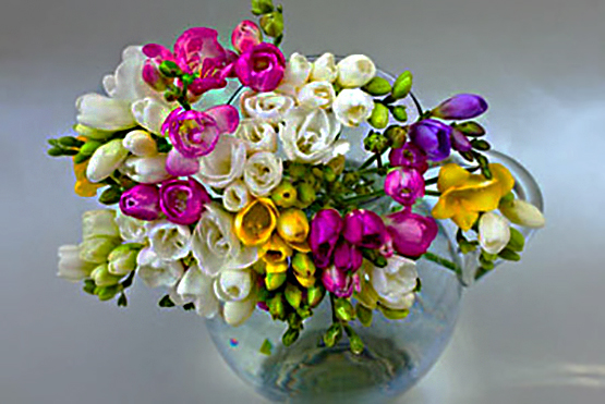 Art Floral